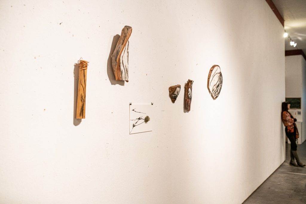 Irena_Paskali_Kunsthalle_Kleinschönach_4