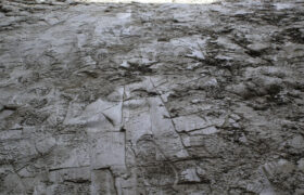 Claudia_Schlürmann_Erdarbeit:Transition_Detail (Foto M.Schenkl)