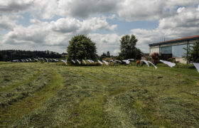 Isabel_Lefin_washing line.01