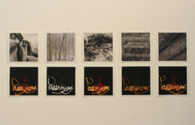 Matthias_Schenkl_Passivismus.02.