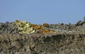 Susanne_Albrecht_Tongrube.02.