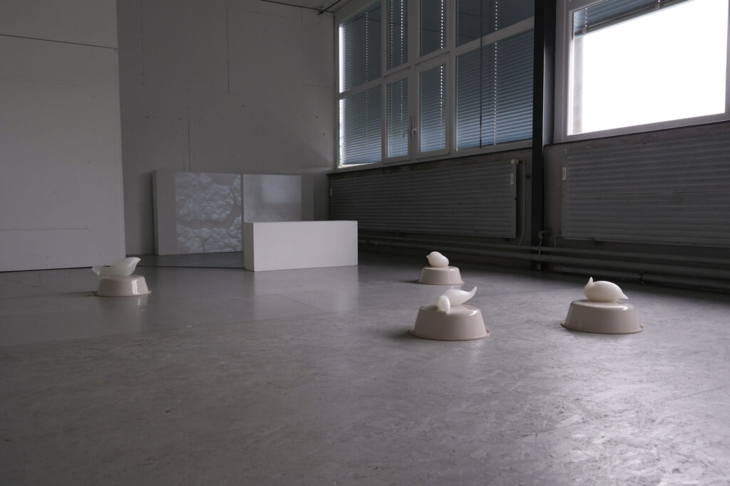 Anna_Kramer_Stipendium_Kunsthalle_Kleinschönach