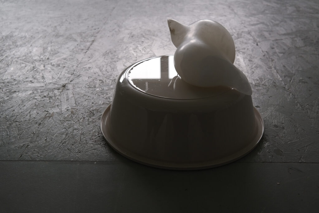 Anna_Kramer_Stipendium_Kunsthalle_Kleinschönach