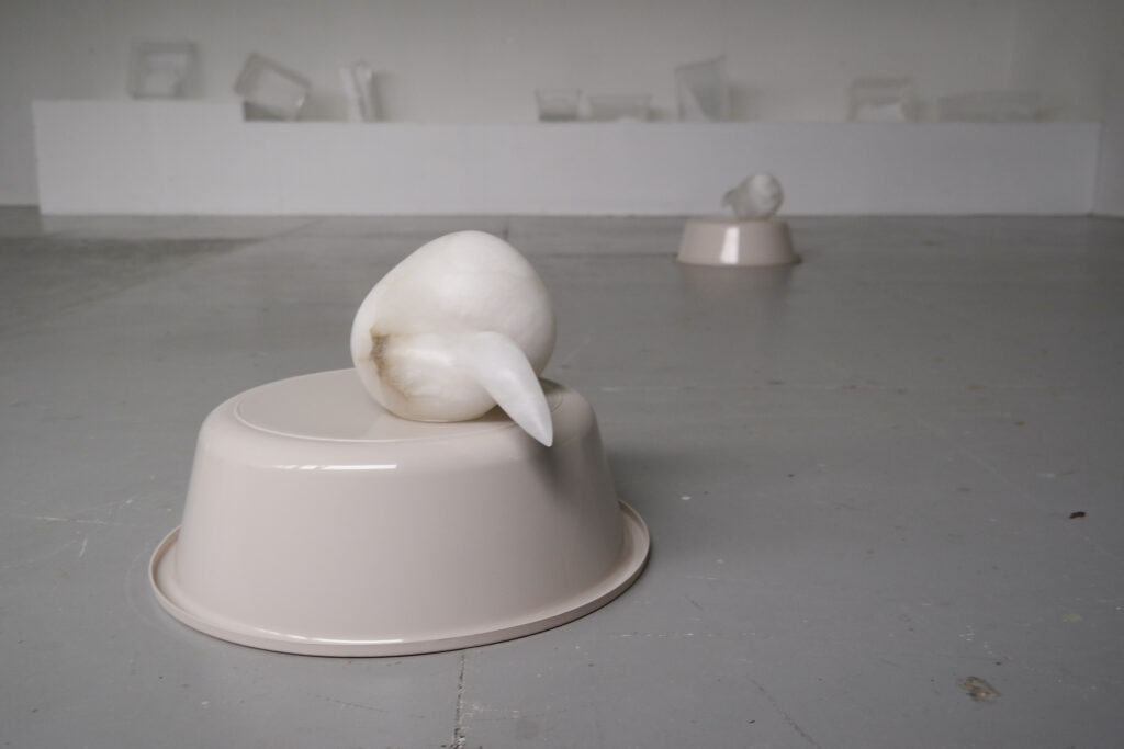 Anna_Kramer_Stipendium_Kunsthalle_Kleinschönach