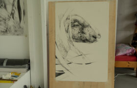 Carmen Stahlschmidt -6