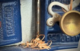 Kunsthalle_Kleinschönach_Herdwangen_Bodensee_Sigmaringen_Jahresausstellung_2023_Ausstellung 2023, 1.Oktober_6