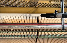 Kunsthalle_Kleinschönach_Herdwangen_Bodensee_Sigmaringen_Jahresausstellung_2023_Ausstellung 2023, 30.September_21