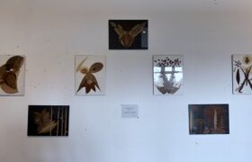 Kunsthalle_Kleinschönach_Herdwangen_Bodensee_Sigmaringen_Jahresausstellung_2023_Ausstellung 2023, 30.September_57