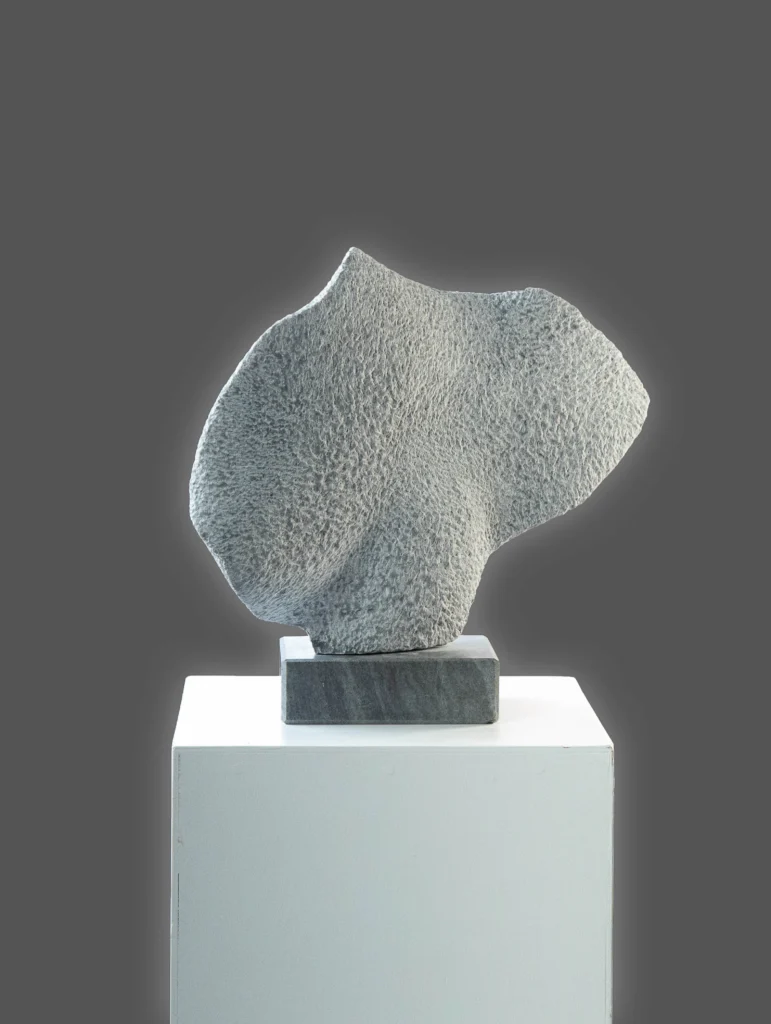 Bewegte Form, Bardiglio Marmor, 2022